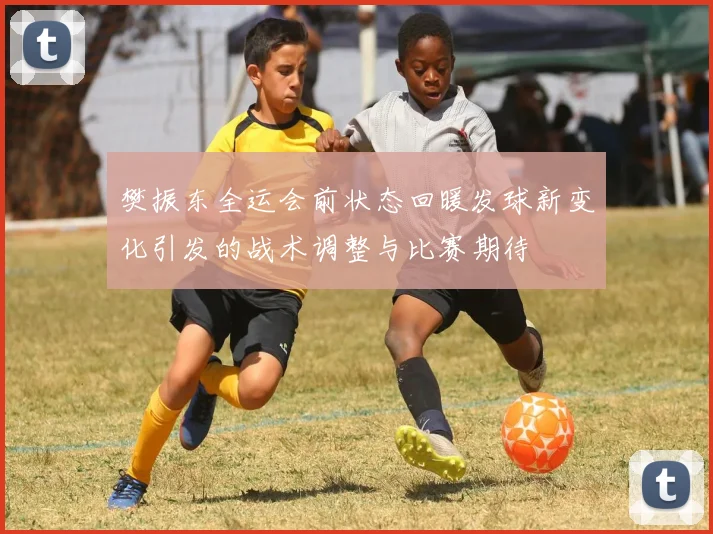 樊振东全运会前状态回暖发球新变化引发的战术调整与比赛期待